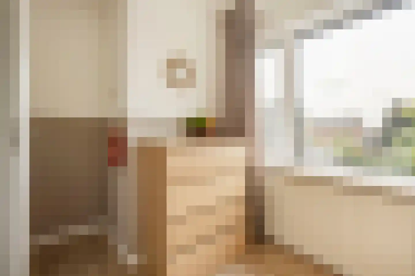 Titus Brandsmastraat 1 Ootmarsum thumbnail 23