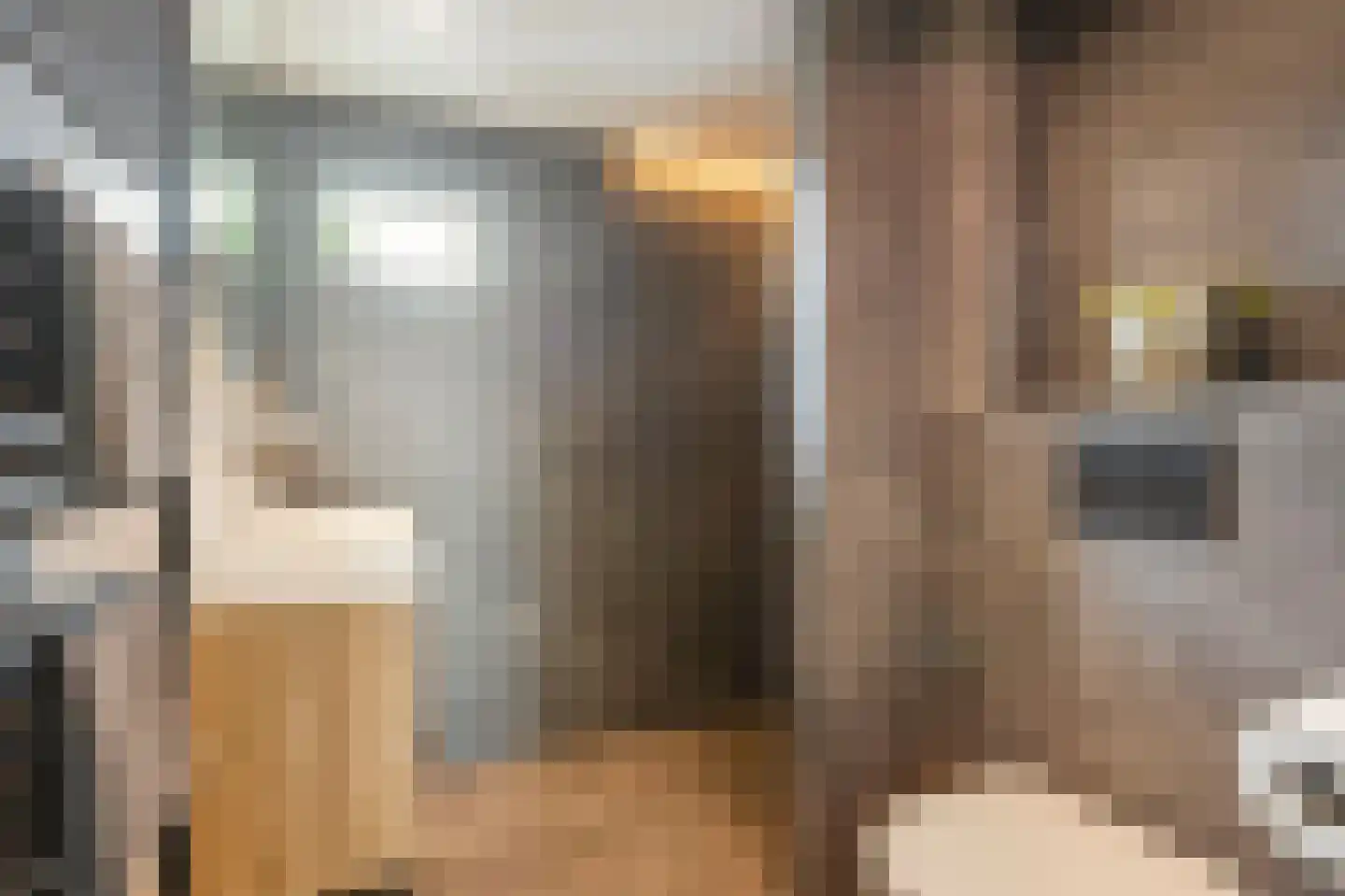 Titus Brandsmastraat 1 Ootmarsum thumbnail 26