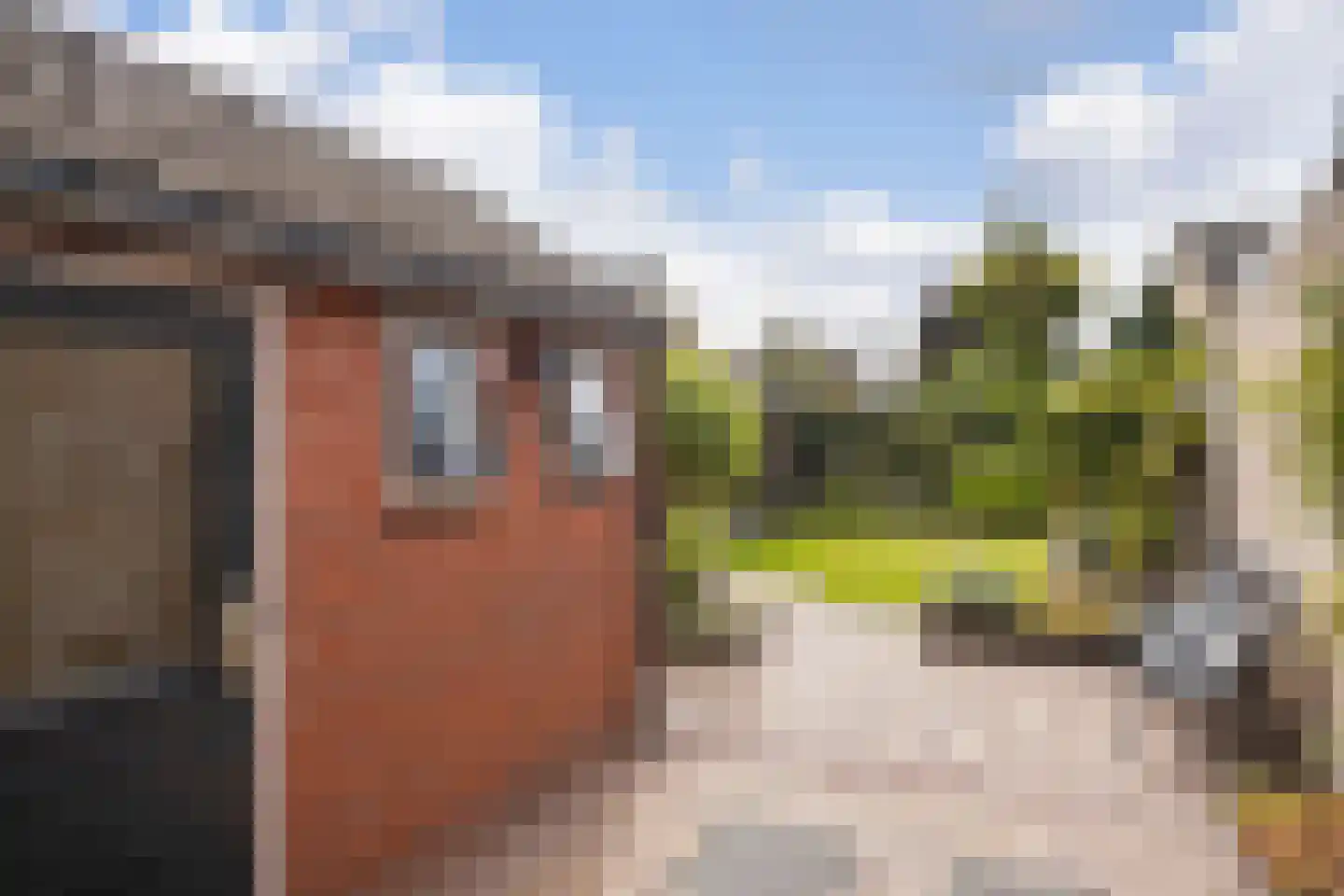 Titus Brandsmastraat 1 Ootmarsum thumbnail 29