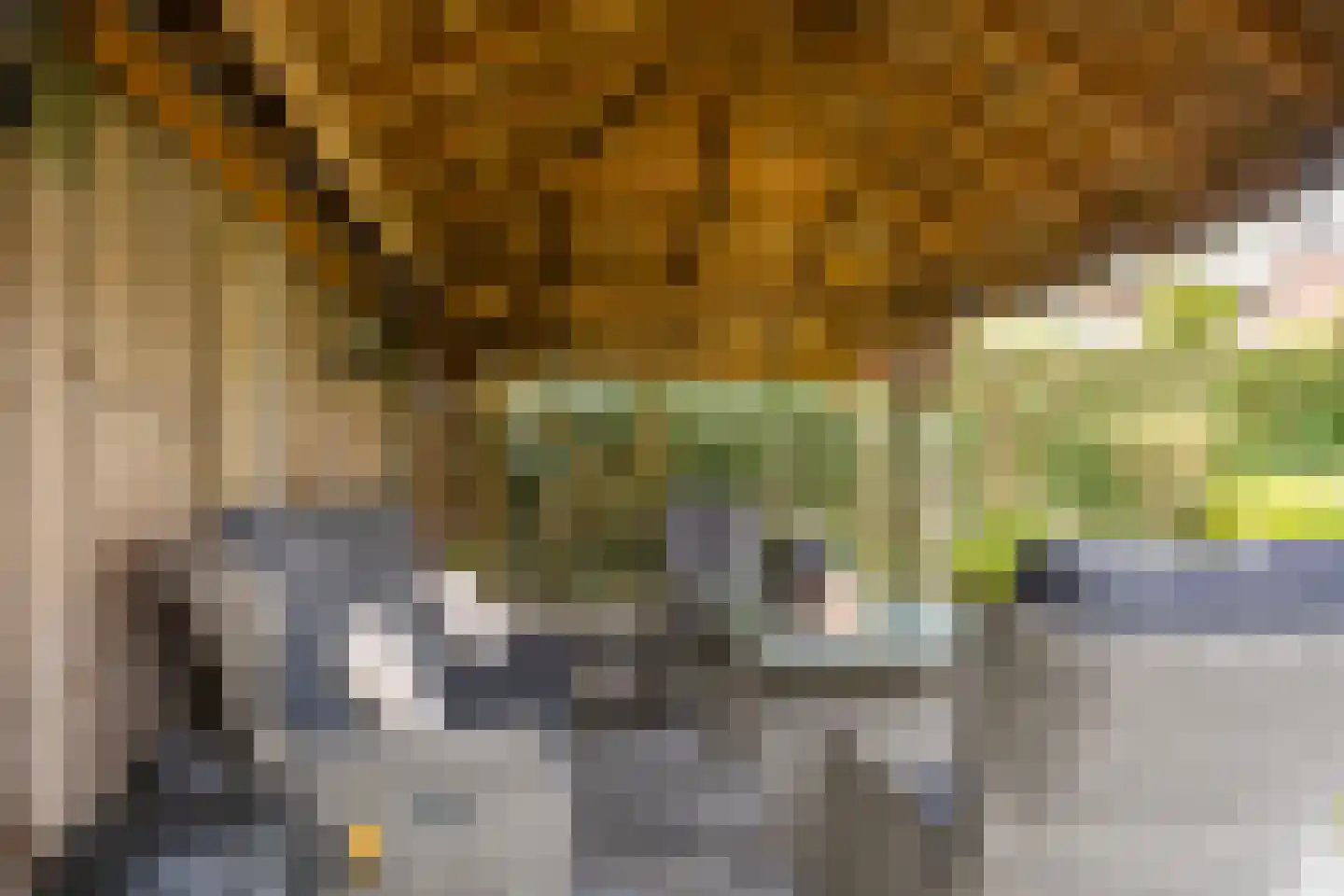 Titus Brandsmastraat 1 Ootmarsum thumbnail 32