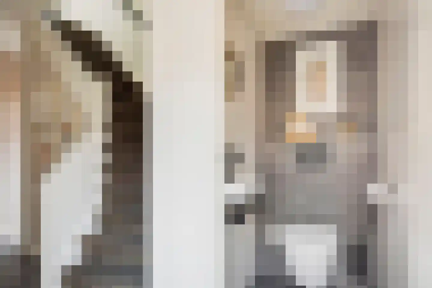 Titus Brandsmastraat 1 Ootmarsum thumbnail 8