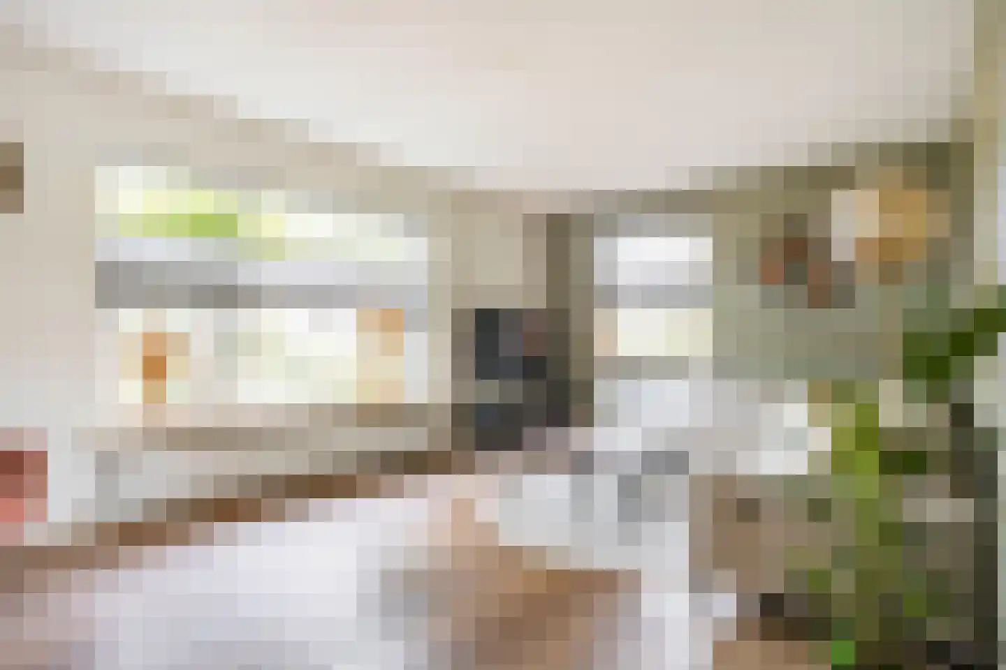 Titus Brandsmastraat 1 Ootmarsum thumbnail 9