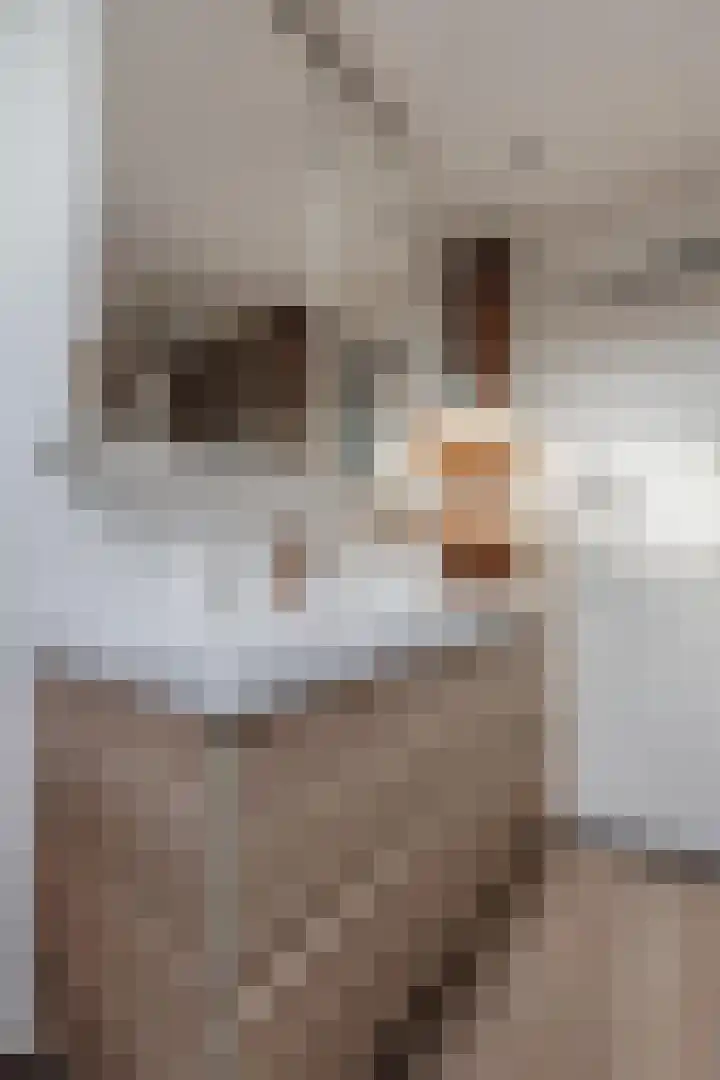 Titus Brandsmastraat 12 Heemskerk thumbnail 34