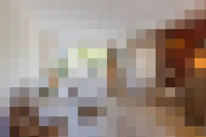 Titus Brandsmastraat 14 Breukelen thumbnail 12