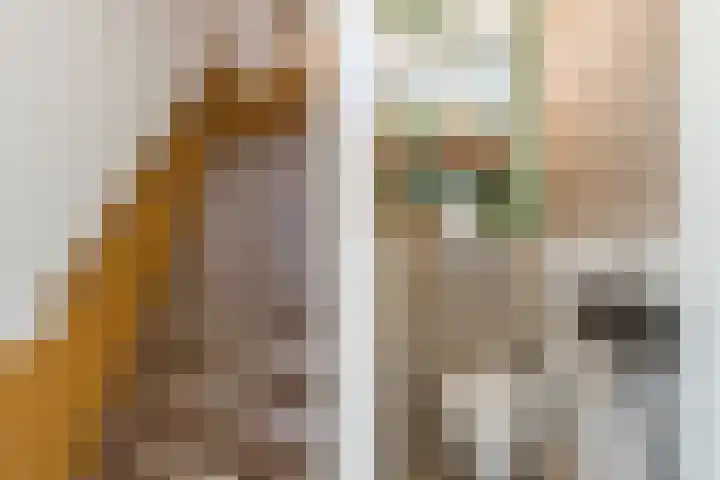 Titus Brandsmastraat 14 Breukelen thumbnail 17