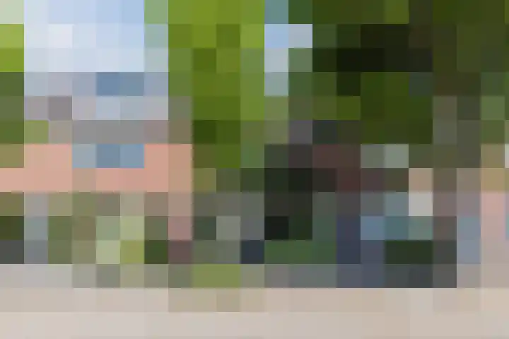 Titus Brandsmastraat 14 Breukelen thumbnail 32