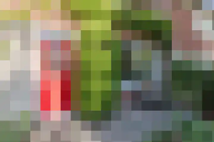 Titus Brandsmastraat 14 Breukelen thumbnail 6