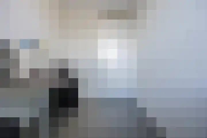 Titus Brandsmastraat 19 Roosendaal thumbnail 32