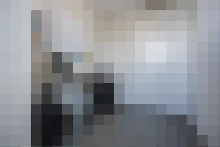 Titus Brandsmastraat 19 Roosendaal thumbnail 33