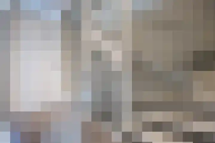 Titus Brandsmastraat 19 Roosendaal thumbnail 37
