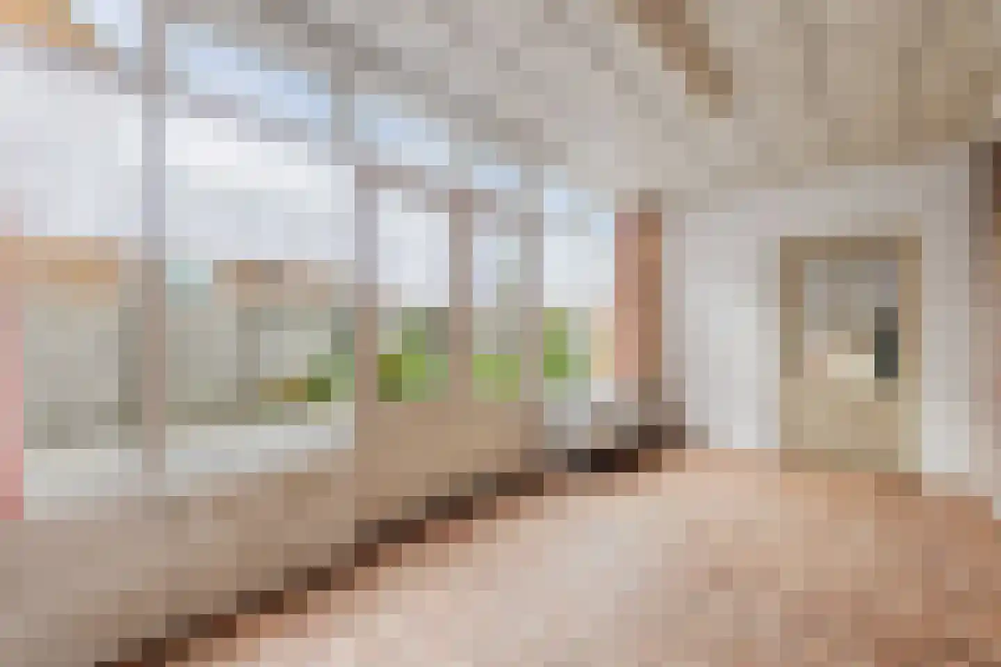 Titus Brandsmastraat 21 Baarle-Nassau thumbnail 20