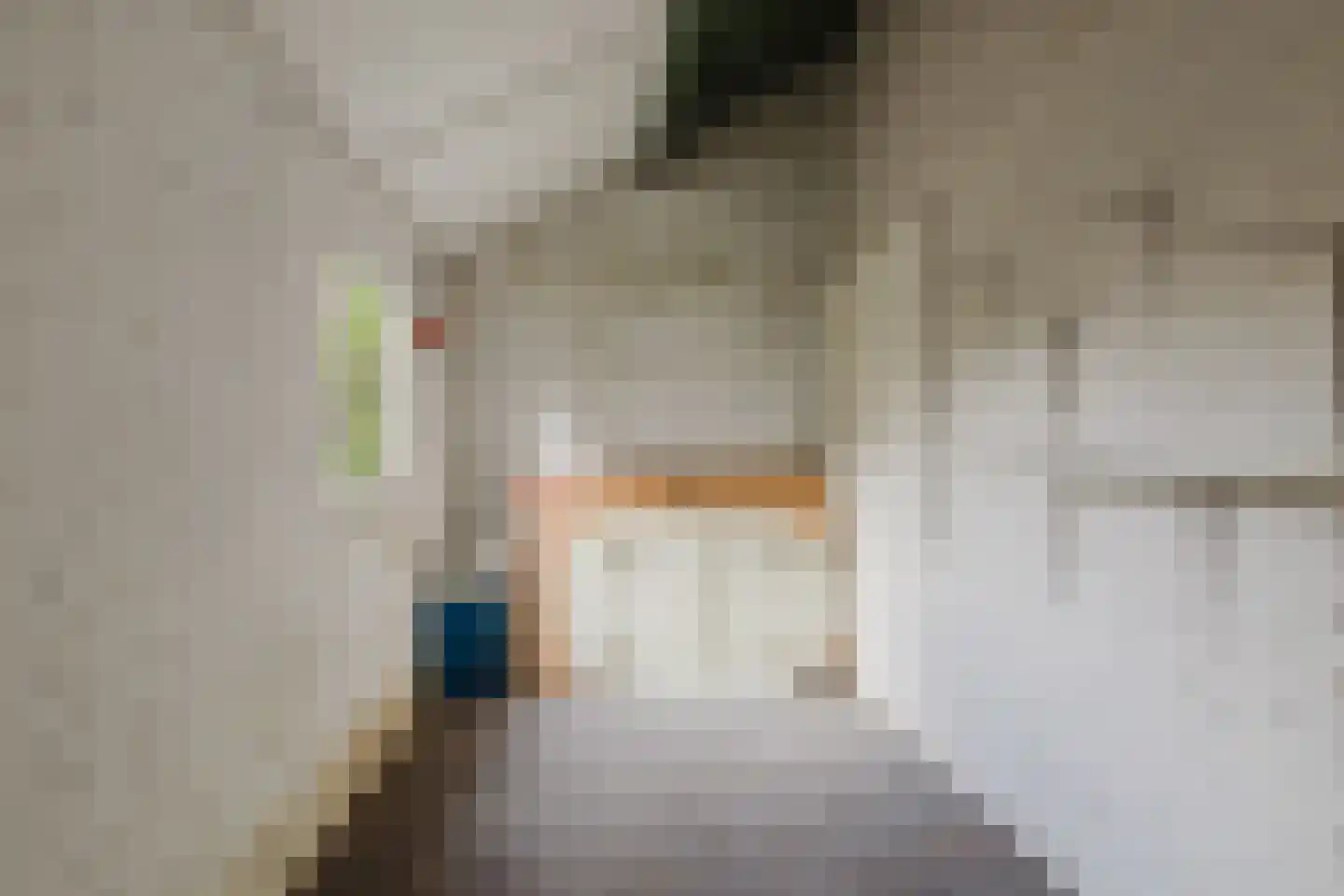Titus Brandsmastraat 21 Baarle-Nassau thumbnail 21