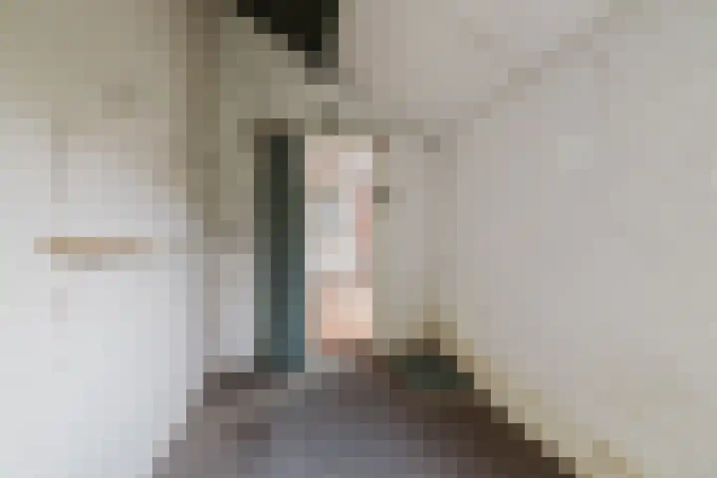 Titus Brandsmastraat 21 Baarle-Nassau thumbnail 22