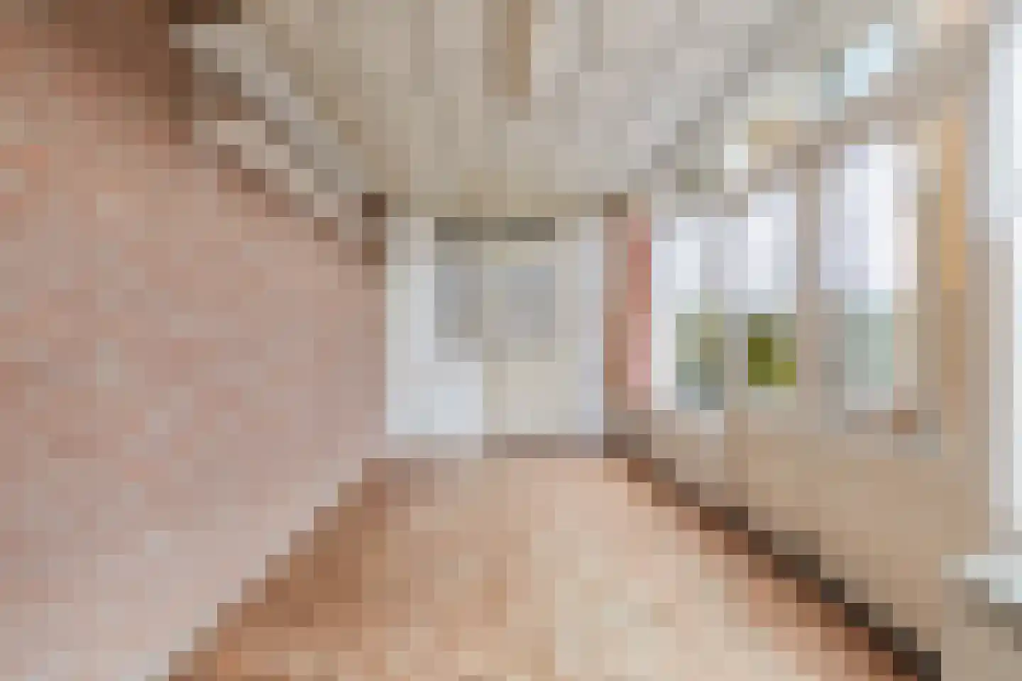 Titus Brandsmastraat 21 Baarle-Nassau thumbnail 23