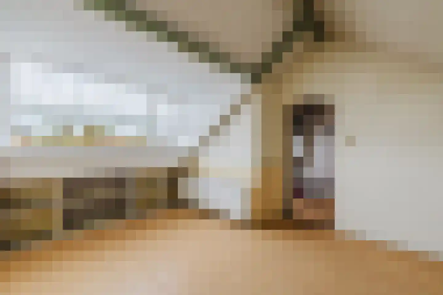 Titus Brandsmastraat 21 Baarle-Nassau thumbnail 35