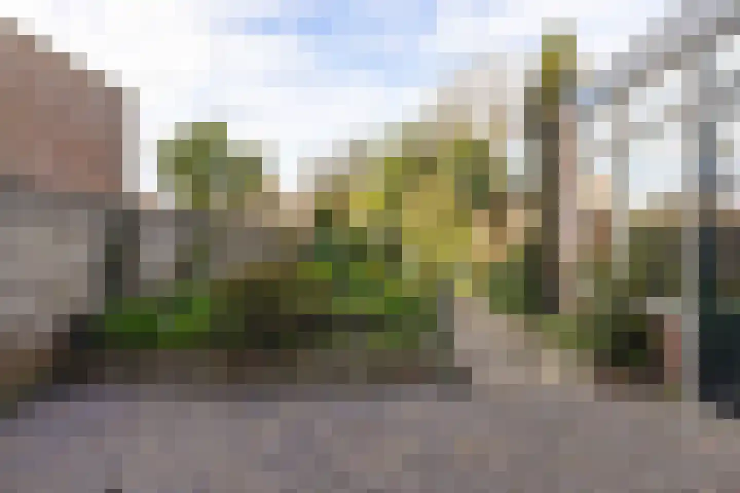 Titus Brandsmastraat 21 Baarle-Nassau thumbnail 37