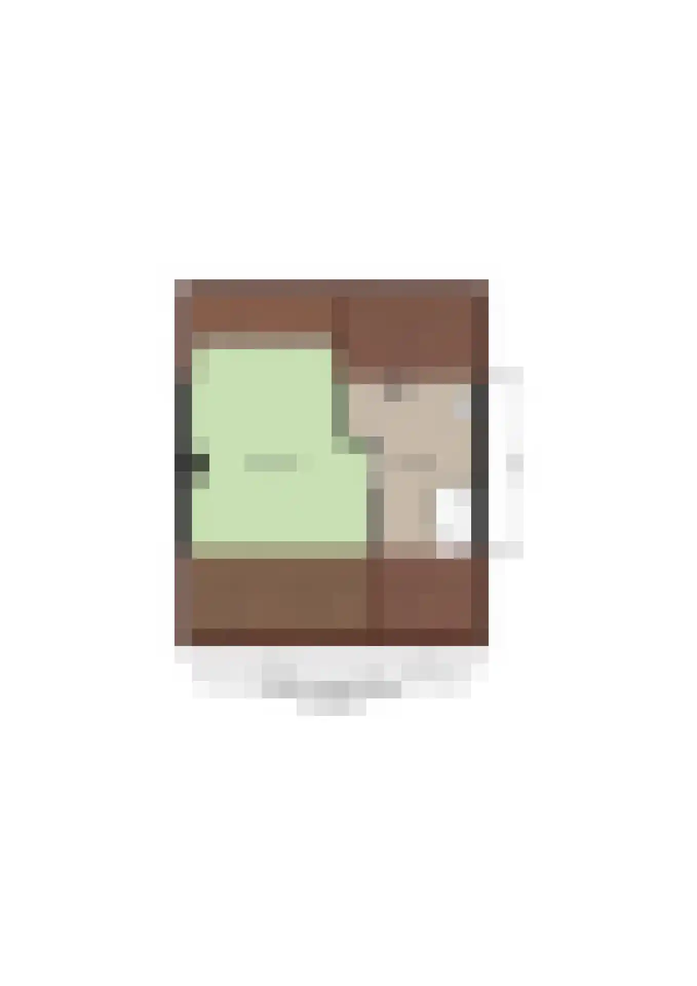 Titus Brandsmastraat 21 Baarle-Nassau thumbnail 51