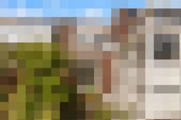 Titus Brandsmastraat 22 Heemskerk thumbnail 21