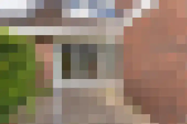 Titus Brandsmastraat 22 Heemskerk thumbnail 22