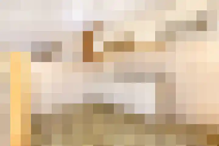Titus Brandsmastraat 22 Heemskerk thumbnail 8