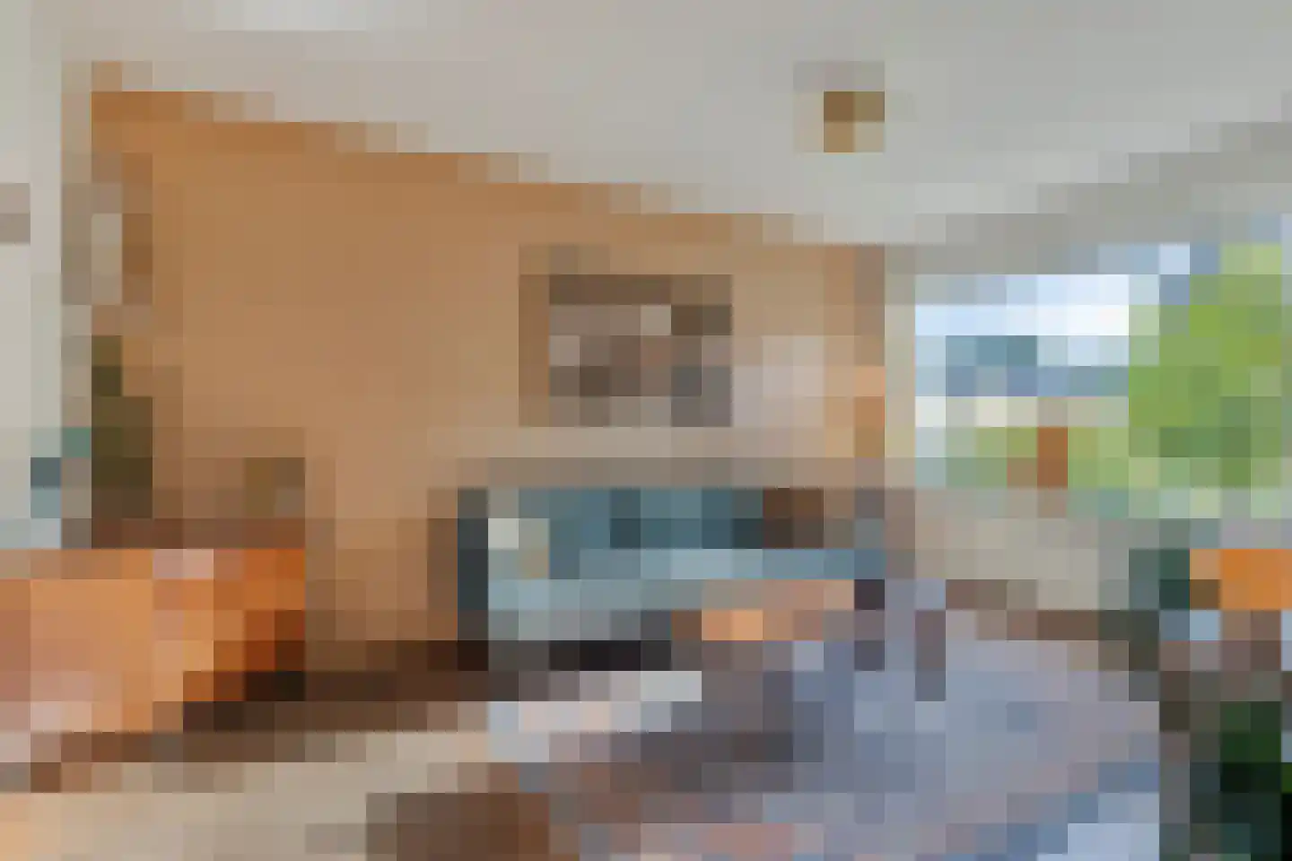 Titus Brandsmastraat 25 Montfoort thumbnail 11