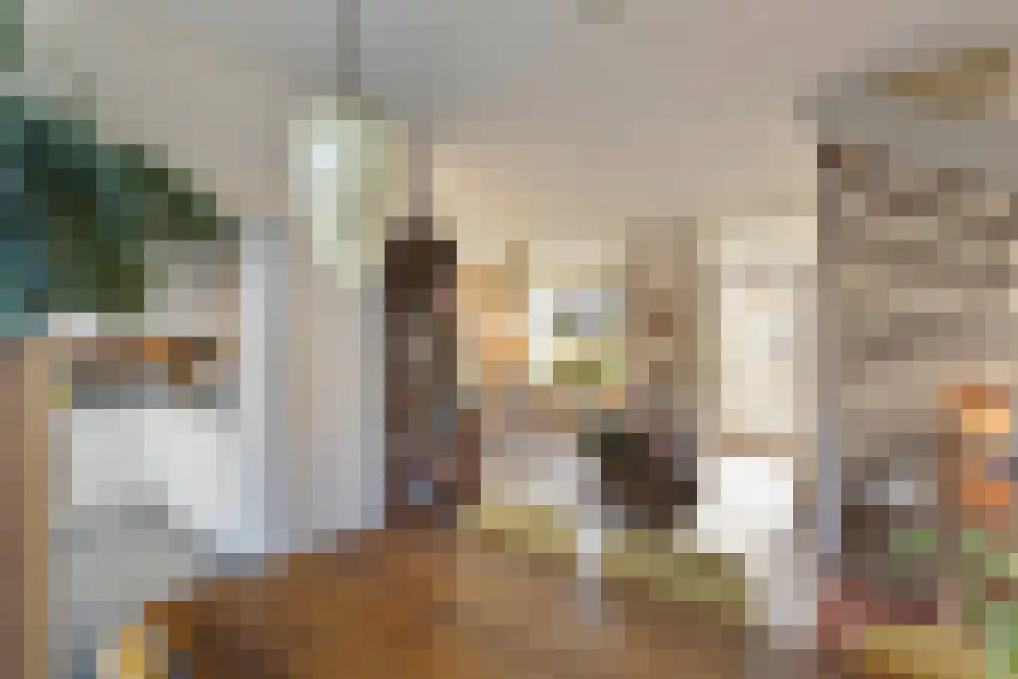 Titus Brandsmastraat 25 Montfoort thumbnail 14