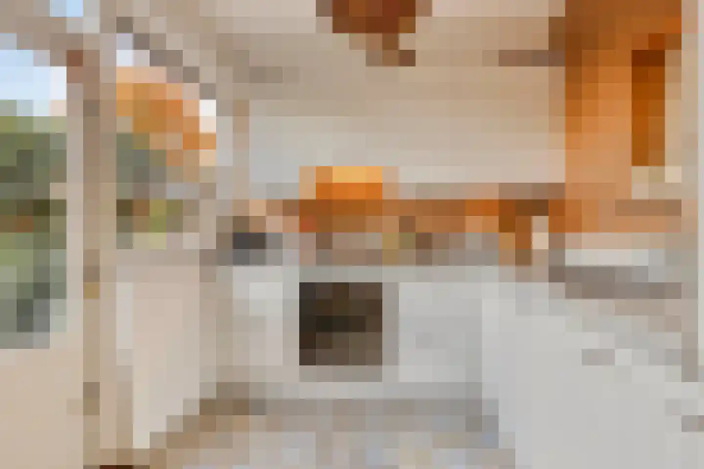 Titus Brandsmastraat 25 Montfoort thumbnail 16