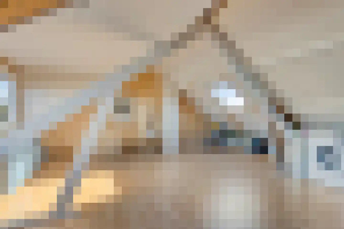 Titus Brandsmastraat 25 Montfoort thumbnail 25