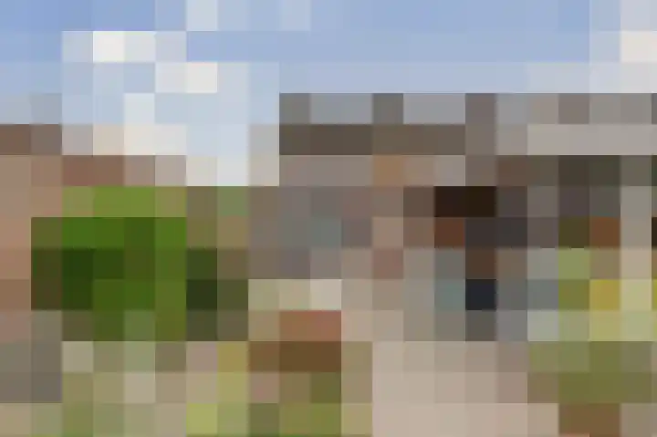 Titus Brandsmastraat 31 Baarle-Nassau thumbnail 31