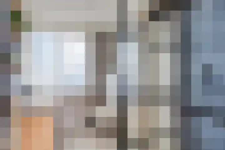 Titus Brandsmastraat 32 's-Hertogenbosch thumbnail 14