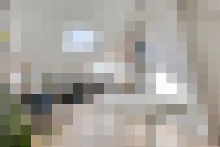 Titus Brandsmastraat 32 's-Hertogenbosch thumbnail 19