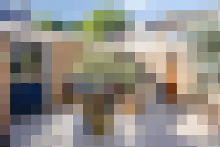 Titus Brandsmastraat 32 's-Hertogenbosch thumbnail 24