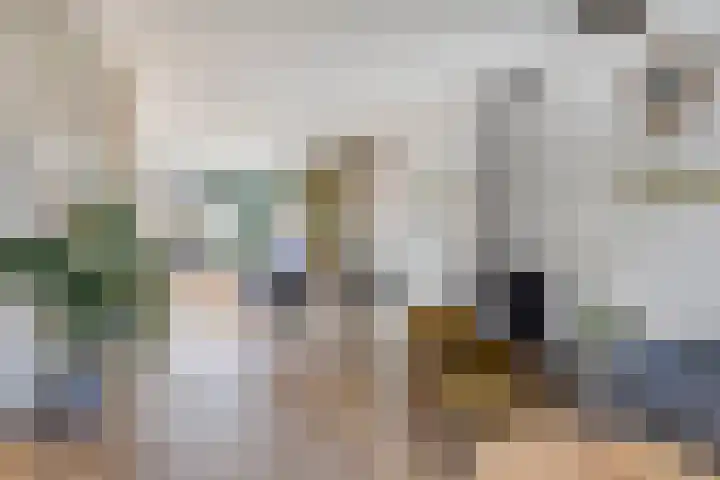 Titus Brandsmastraat 32 's-Hertogenbosch thumbnail 4