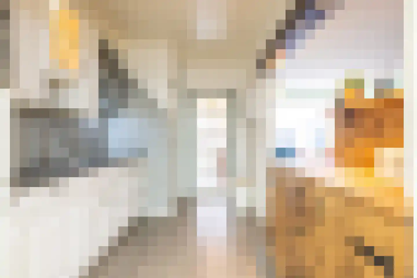 Titus Brandsmastraat 33 Heerlen thumbnail 12