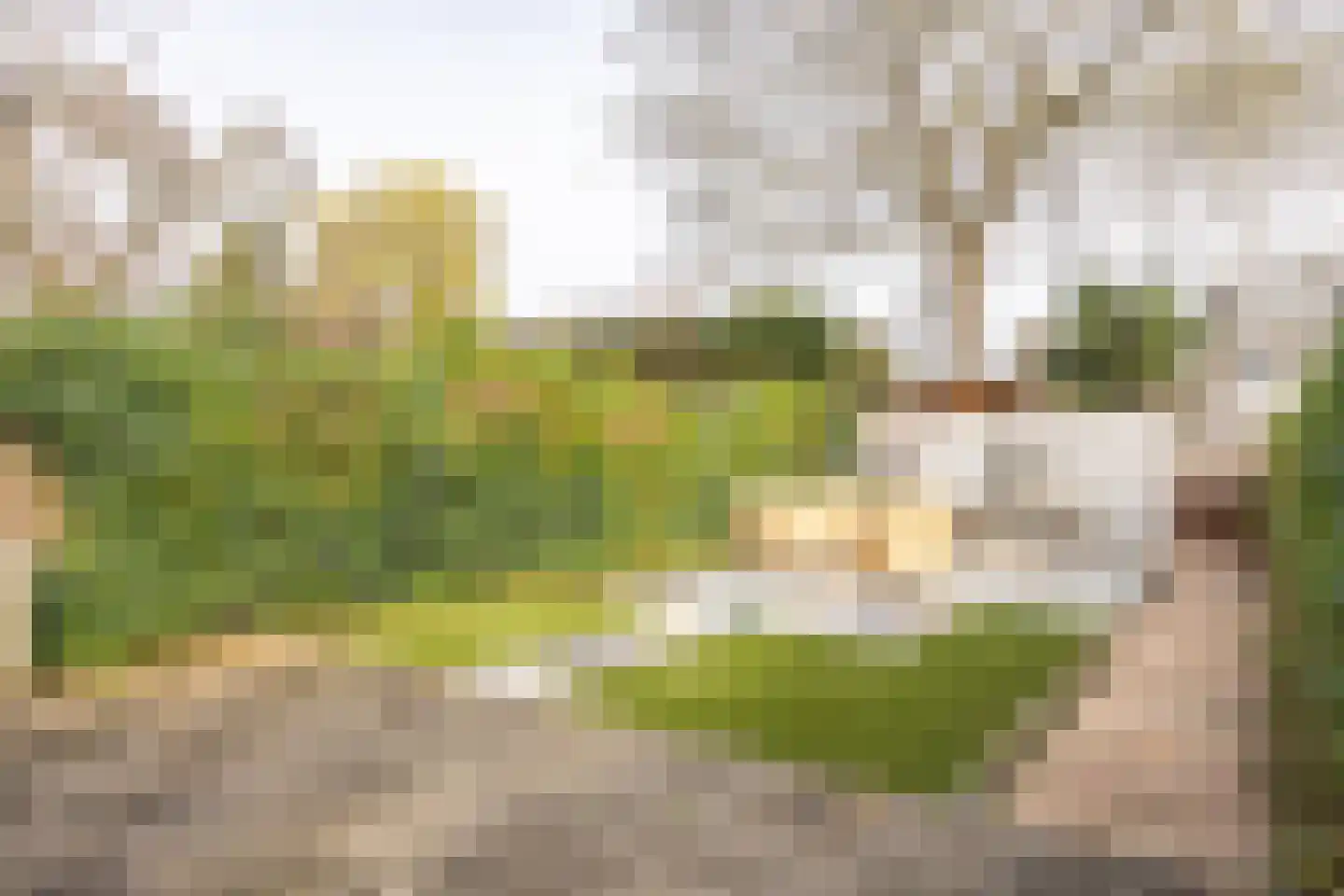 Titus Brandsmastraat 33 Heerlen thumbnail 36