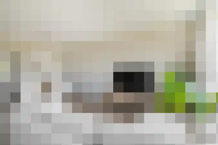 Titus Brandsmastraat 41 Breukelen thumbnail 12