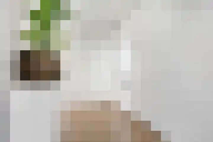 Titus Brandsmastraat 41 Breukelen thumbnail 21