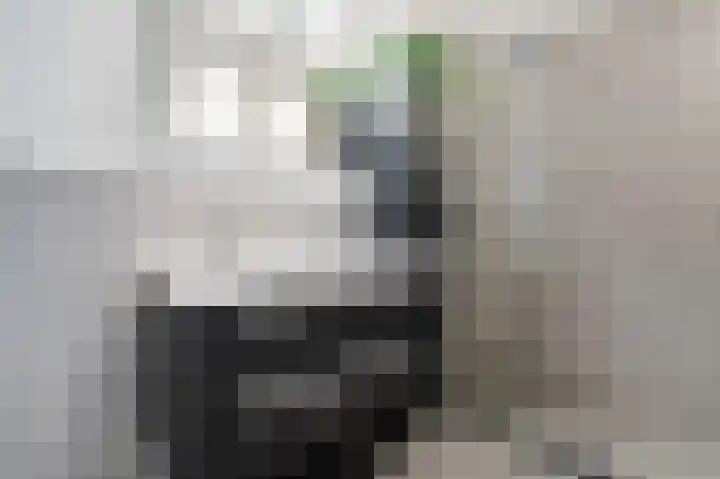 Titus Brandsmastraat 41 Breukelen thumbnail 31