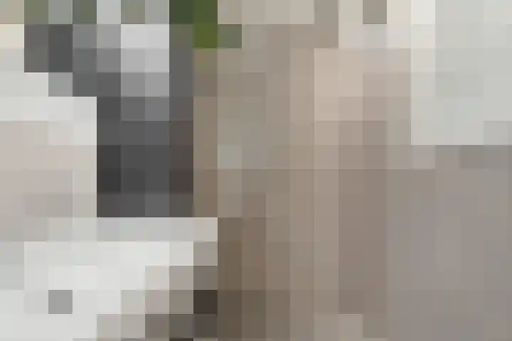 Titus Brandsmastraat 41 Breukelen thumbnail 32