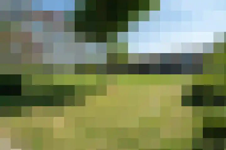 Titus Brandsmastraat 41 Breukelen thumbnail 37