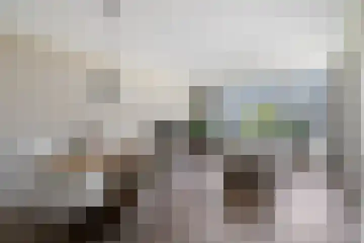 Titus Brandsmastraat 41 Breukelen thumbnail 6