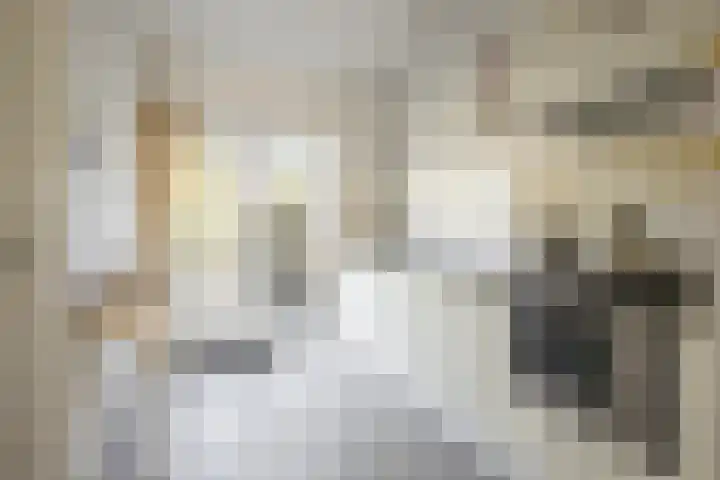 Titus Brandsmastraat 41 Heerlen thumbnail 5