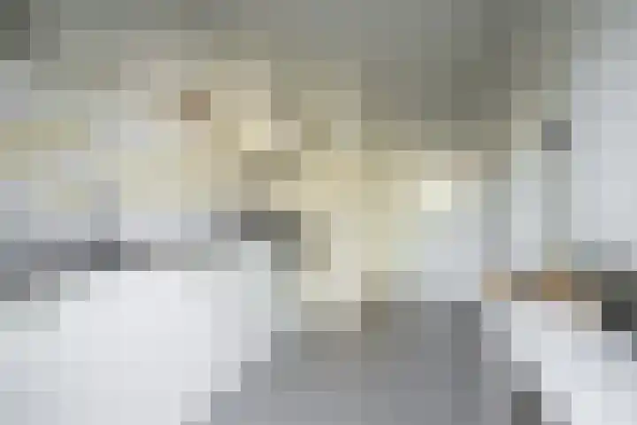 Titus Brandsmastraat 41 Heerlen thumbnail 6