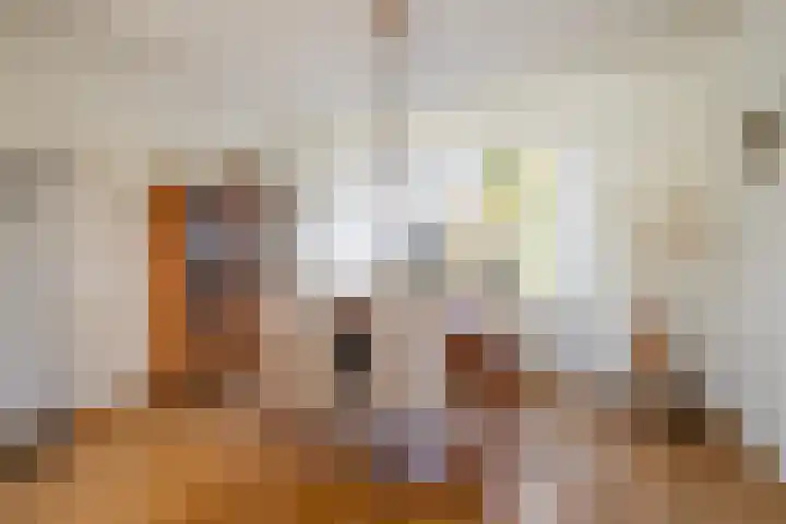 Titus Brandsmastraat 41 Heerlen thumbnail 8