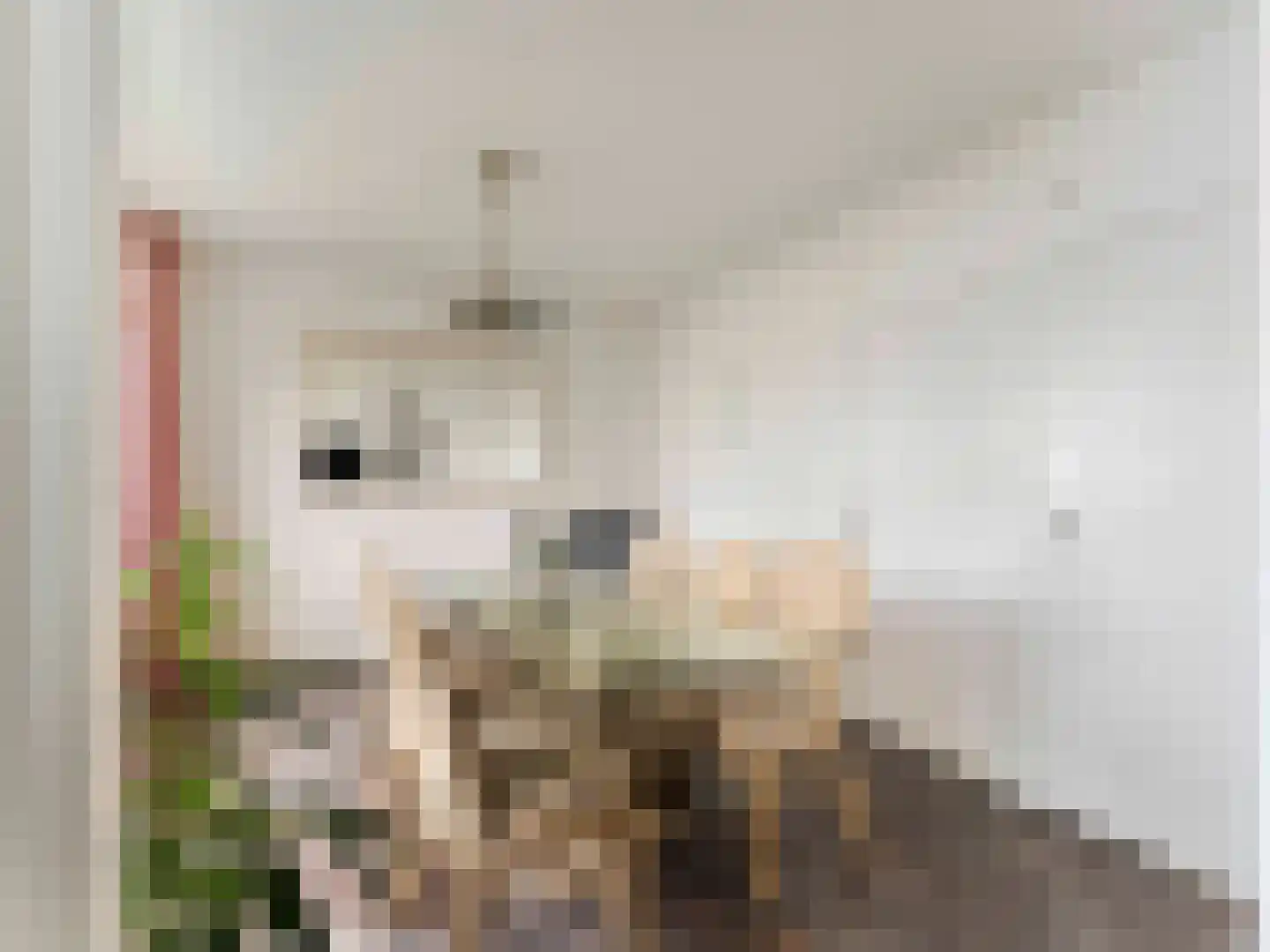 Titus Brandsmastraat 49 Breukelen thumbnail 14