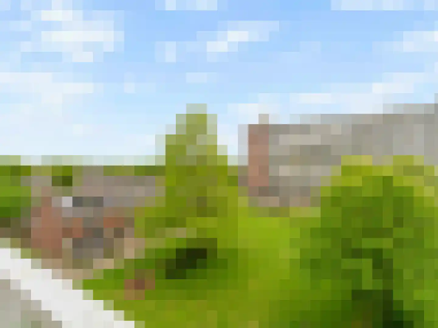 Titus Brandsmastraat 49 Breukelen thumbnail 16