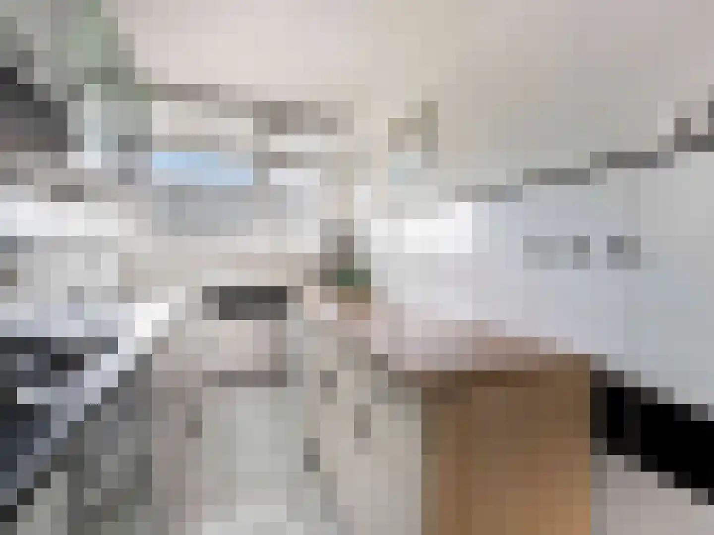 Titus Brandsmastraat 49 Breukelen thumbnail 19
