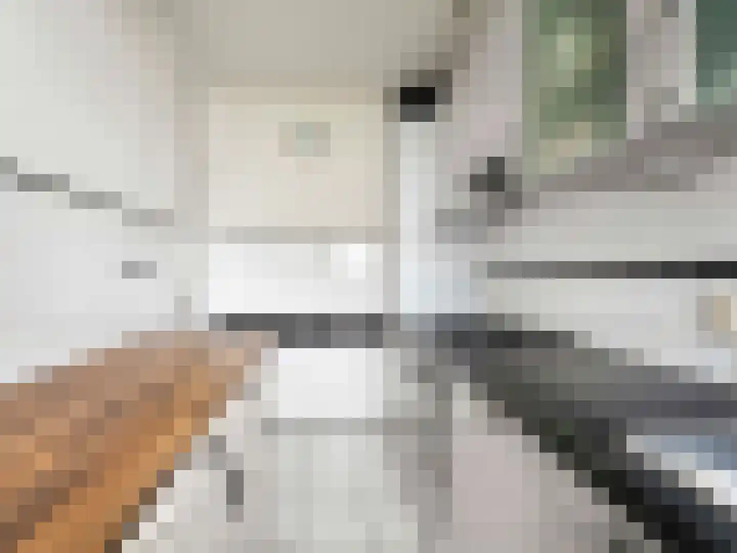 Titus Brandsmastraat 49 Breukelen thumbnail 20
