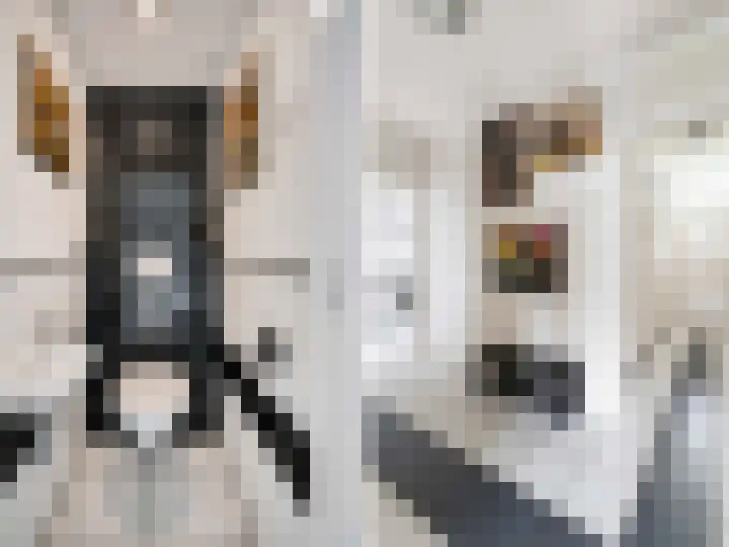 Titus Brandsmastraat 49 Breukelen thumbnail 8
