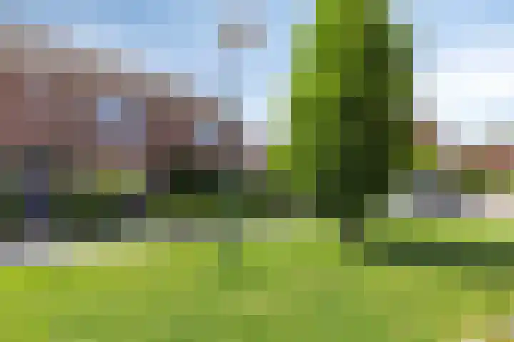 Titus Brandsmastraat 5 Oudewater thumbnail 33